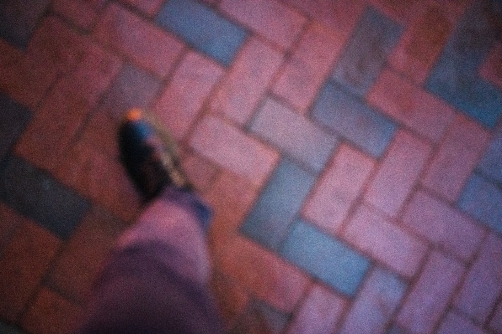 A Journey in Motion