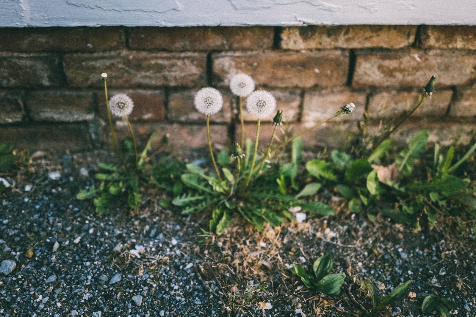 Urban Resilience