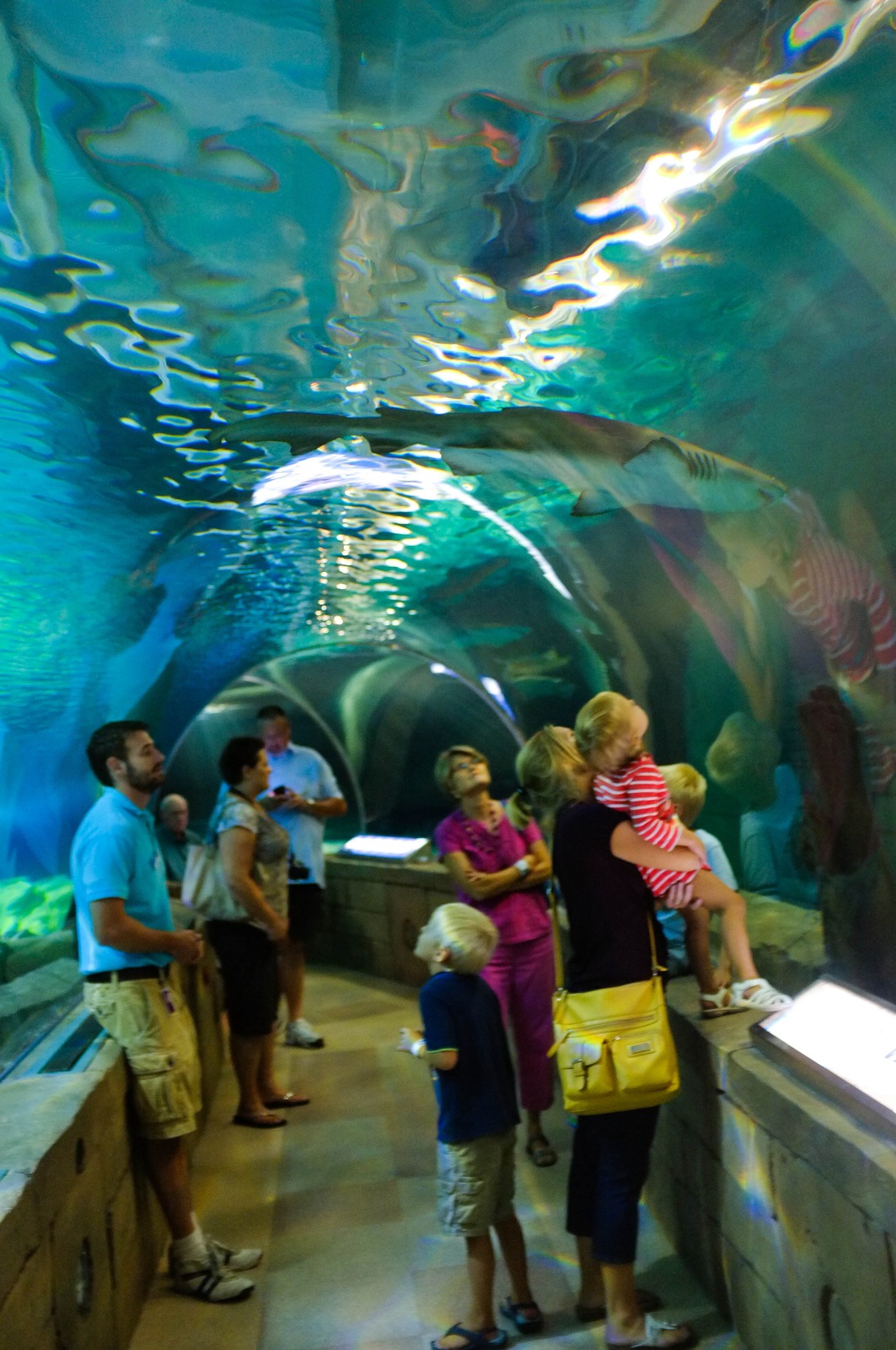 Underwater Wonders