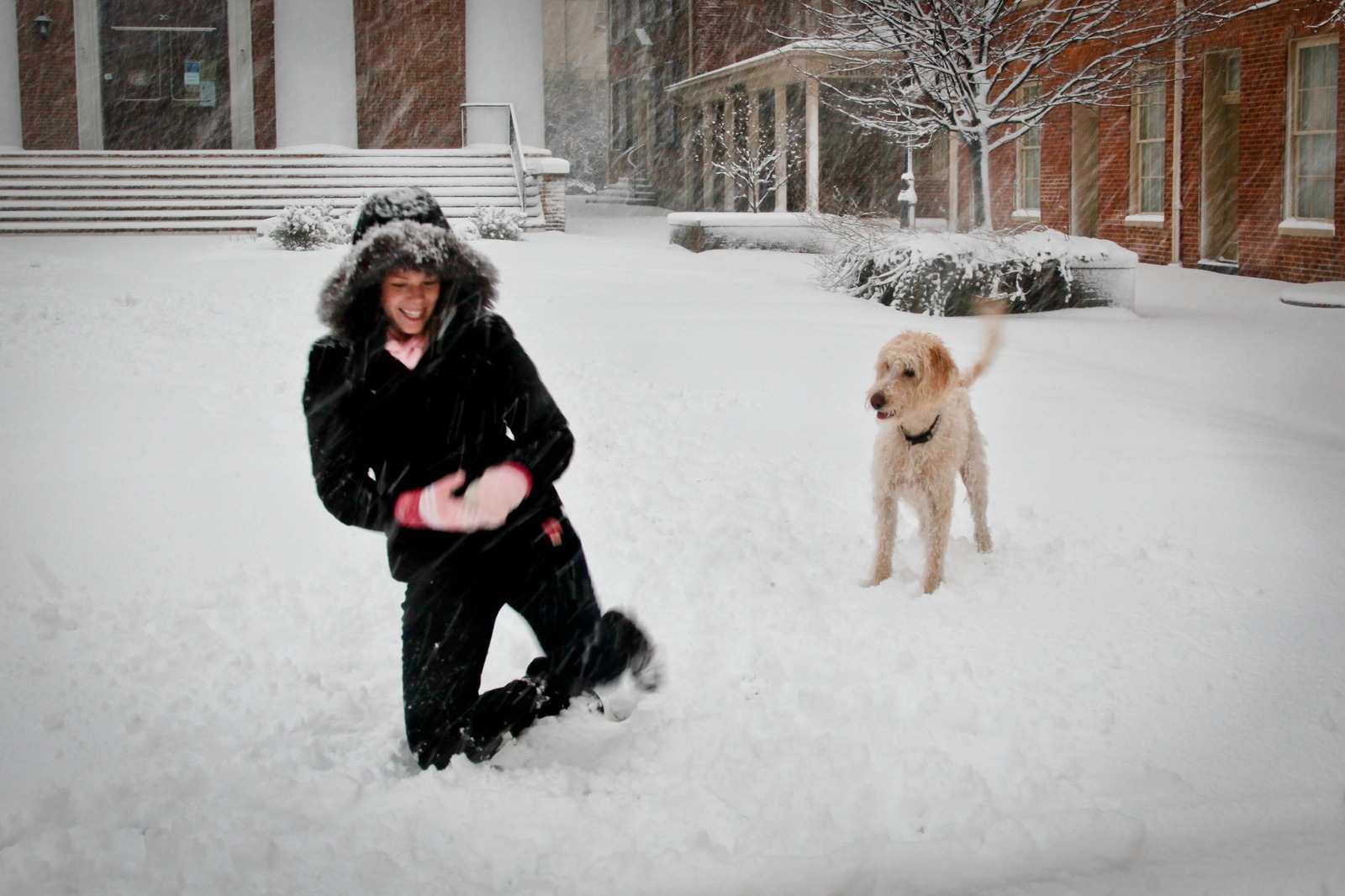 Winter Playtime