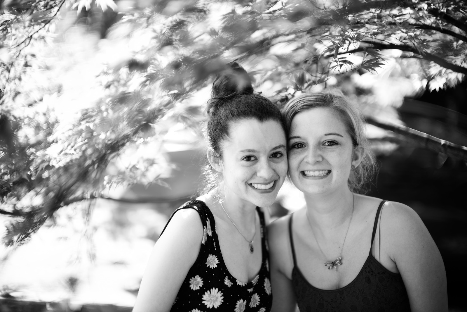 Joyful Connection