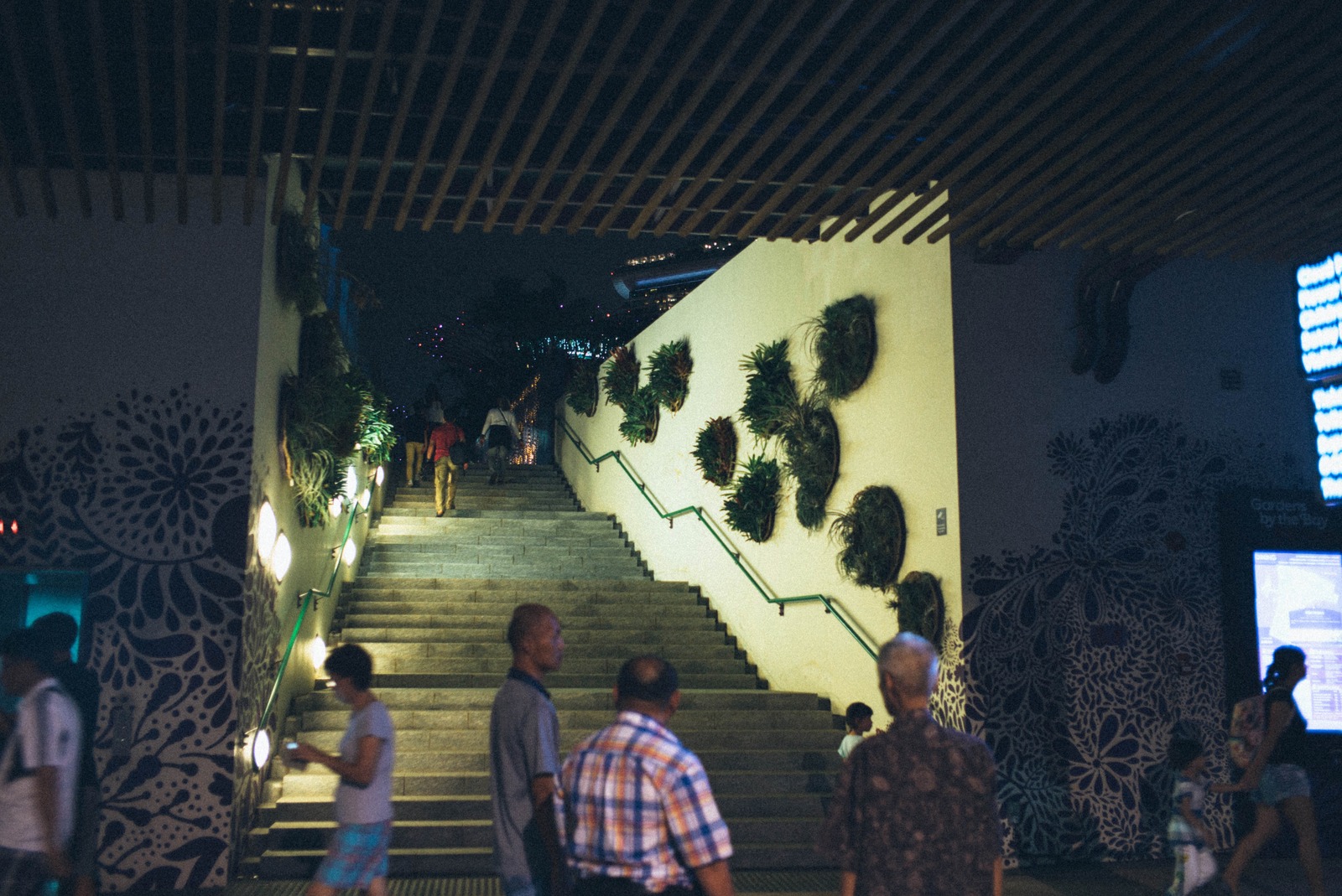 Urban Night Stroll