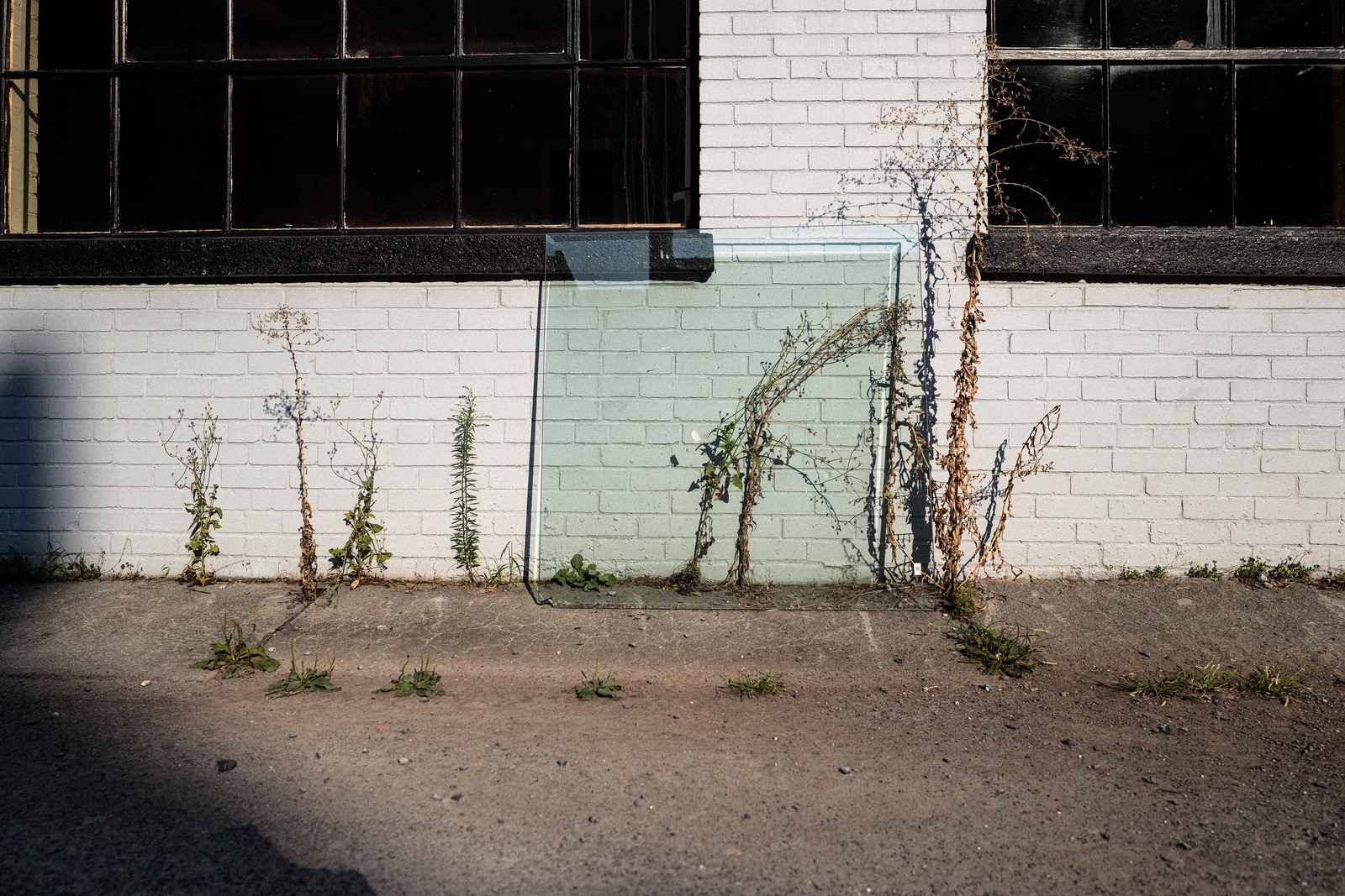 Nature's Resilience