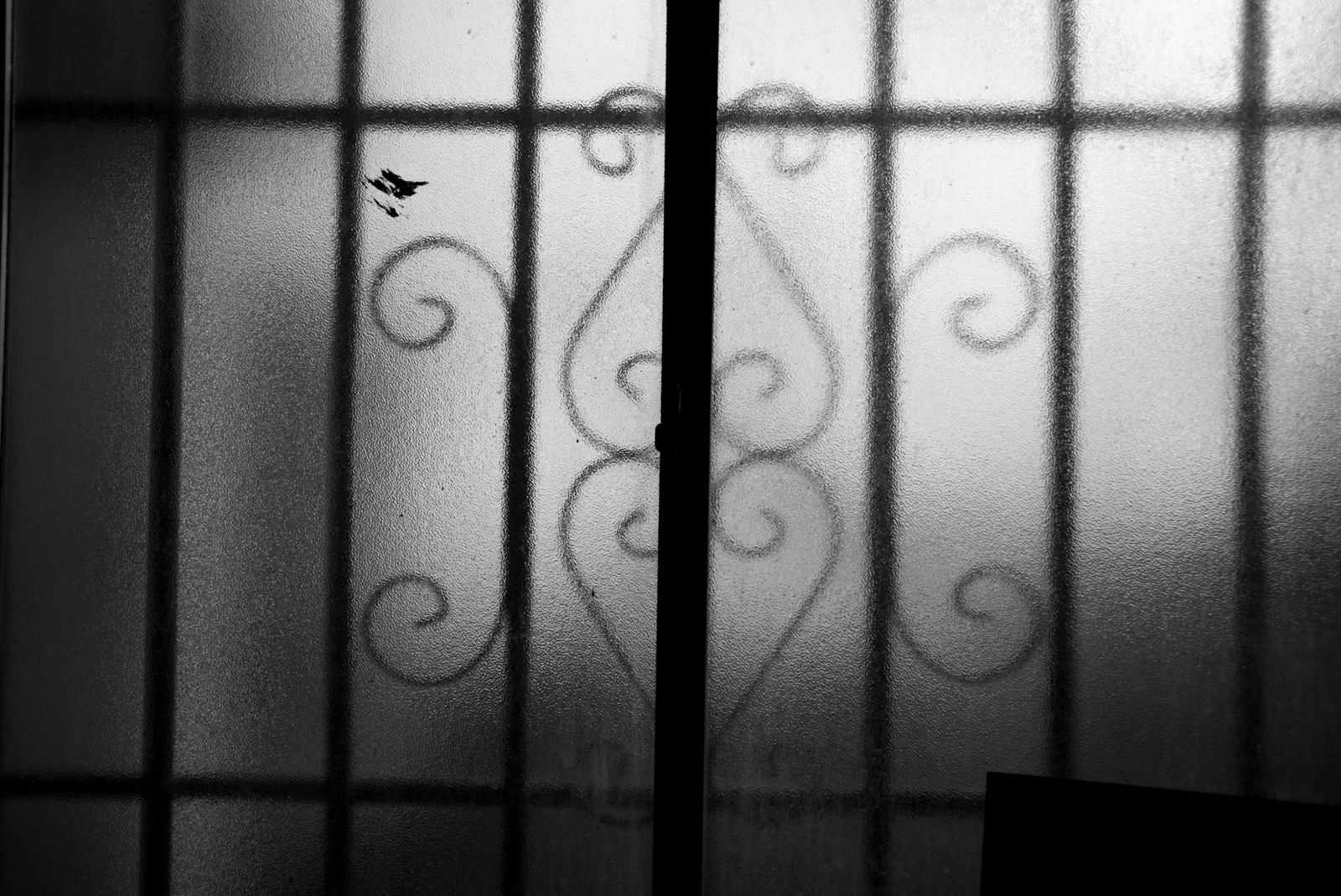 Whispers of Shadows