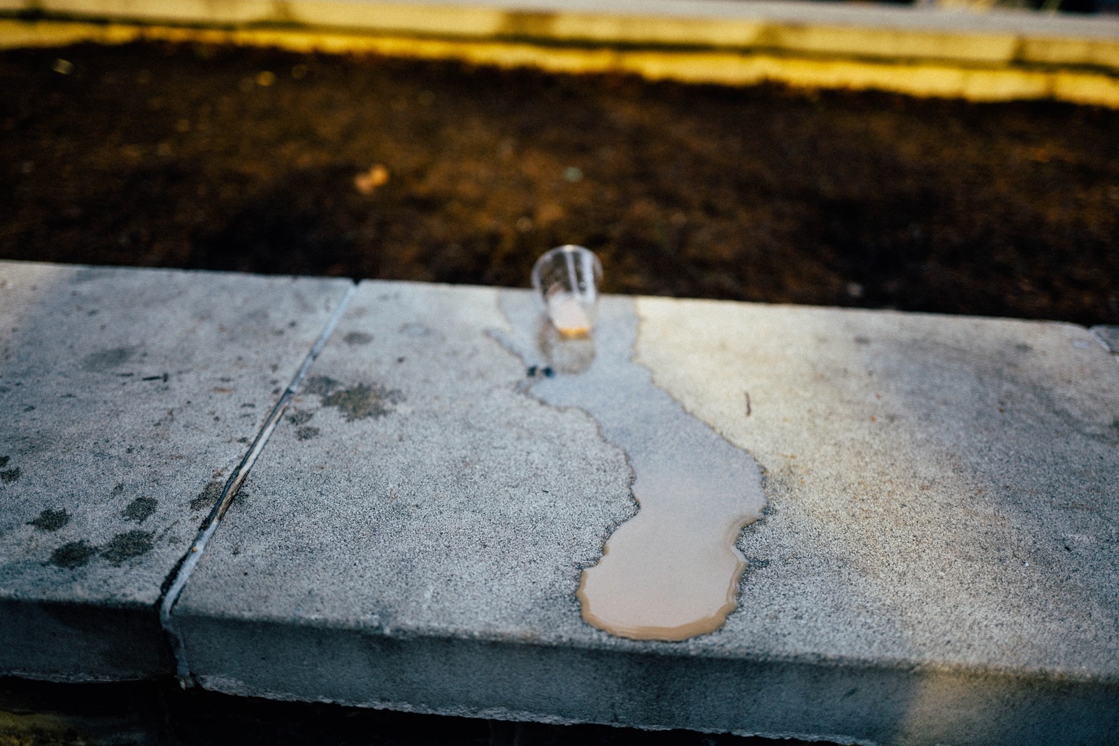 Silent Spill
