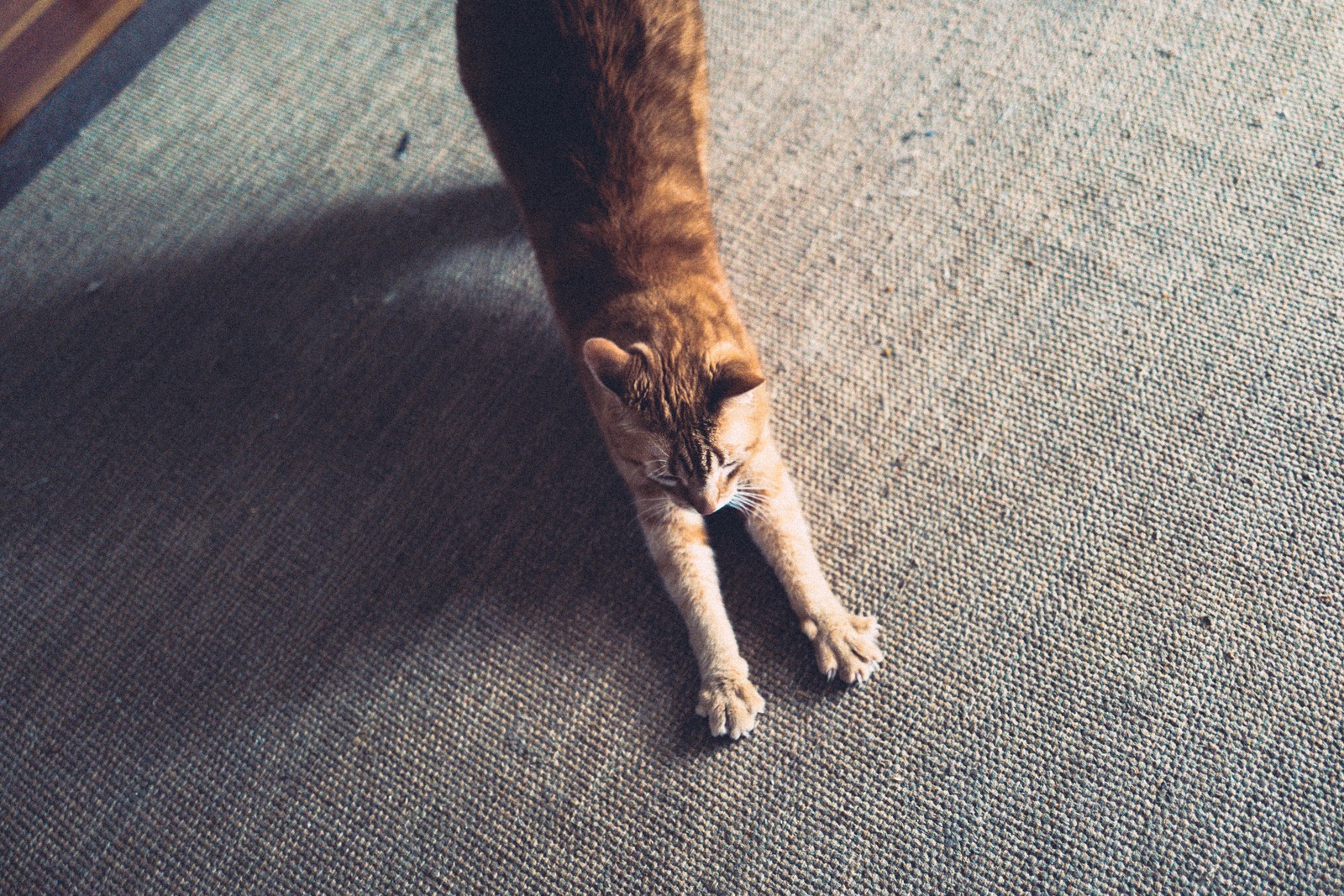 Stretching Serenity