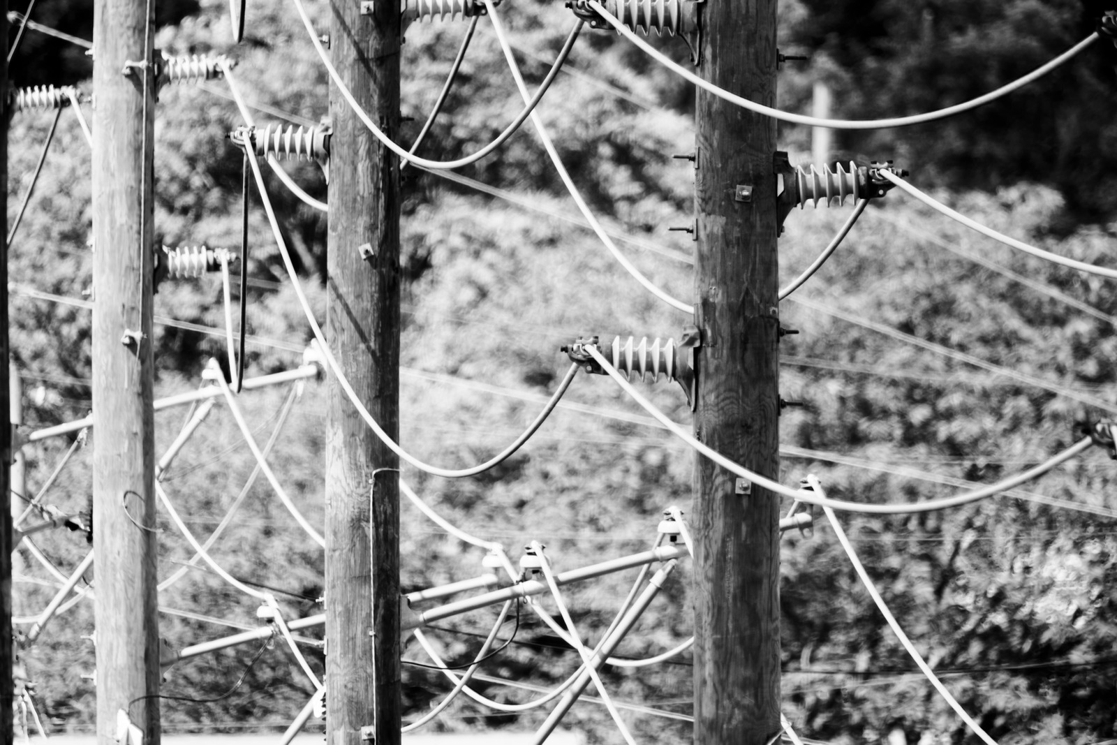 Silent Connections