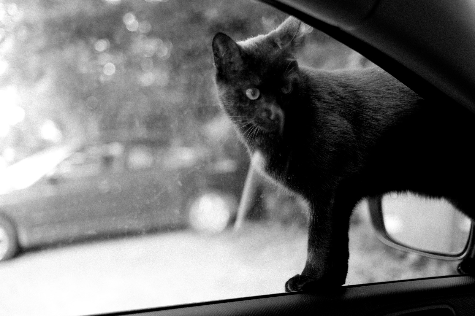 Curious Encounter