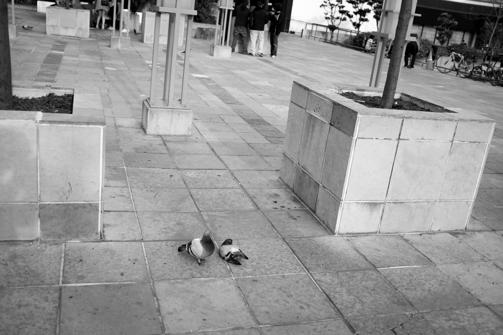 Urban Solitude