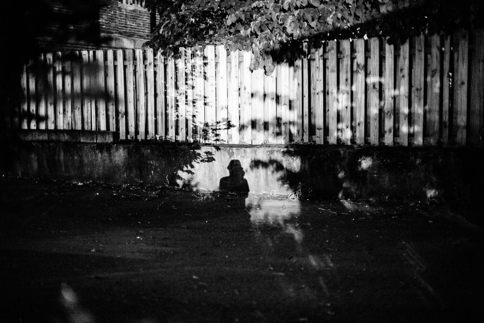Shadows of Solitude
