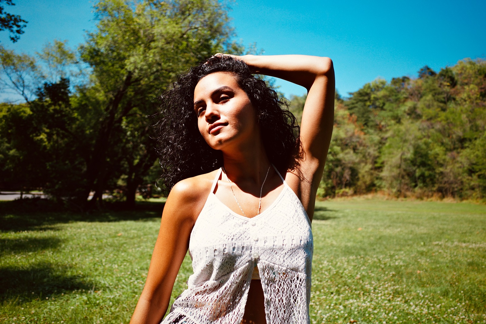 Sunlit Serenity