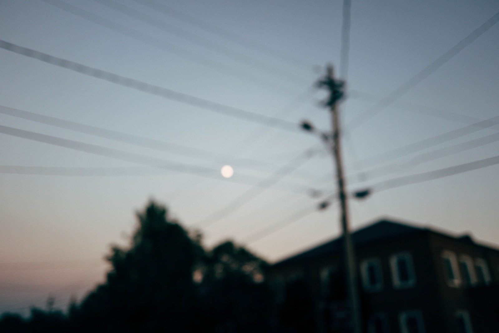 Whispers of Dusk