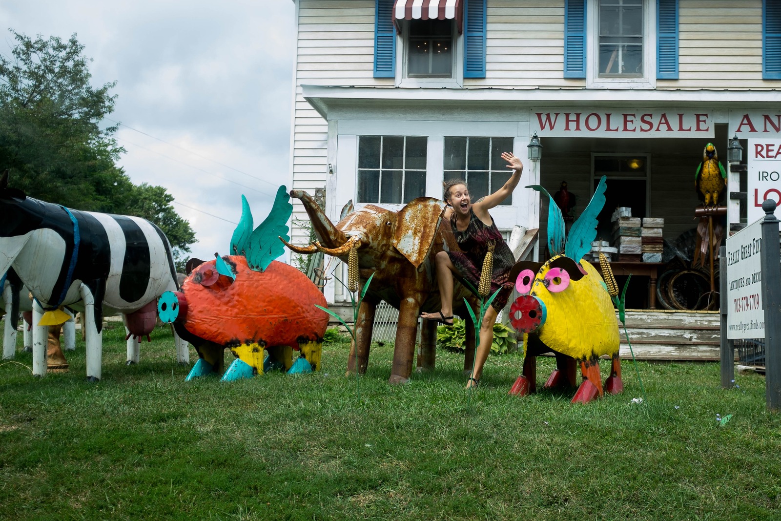 Whimsical Menagerie