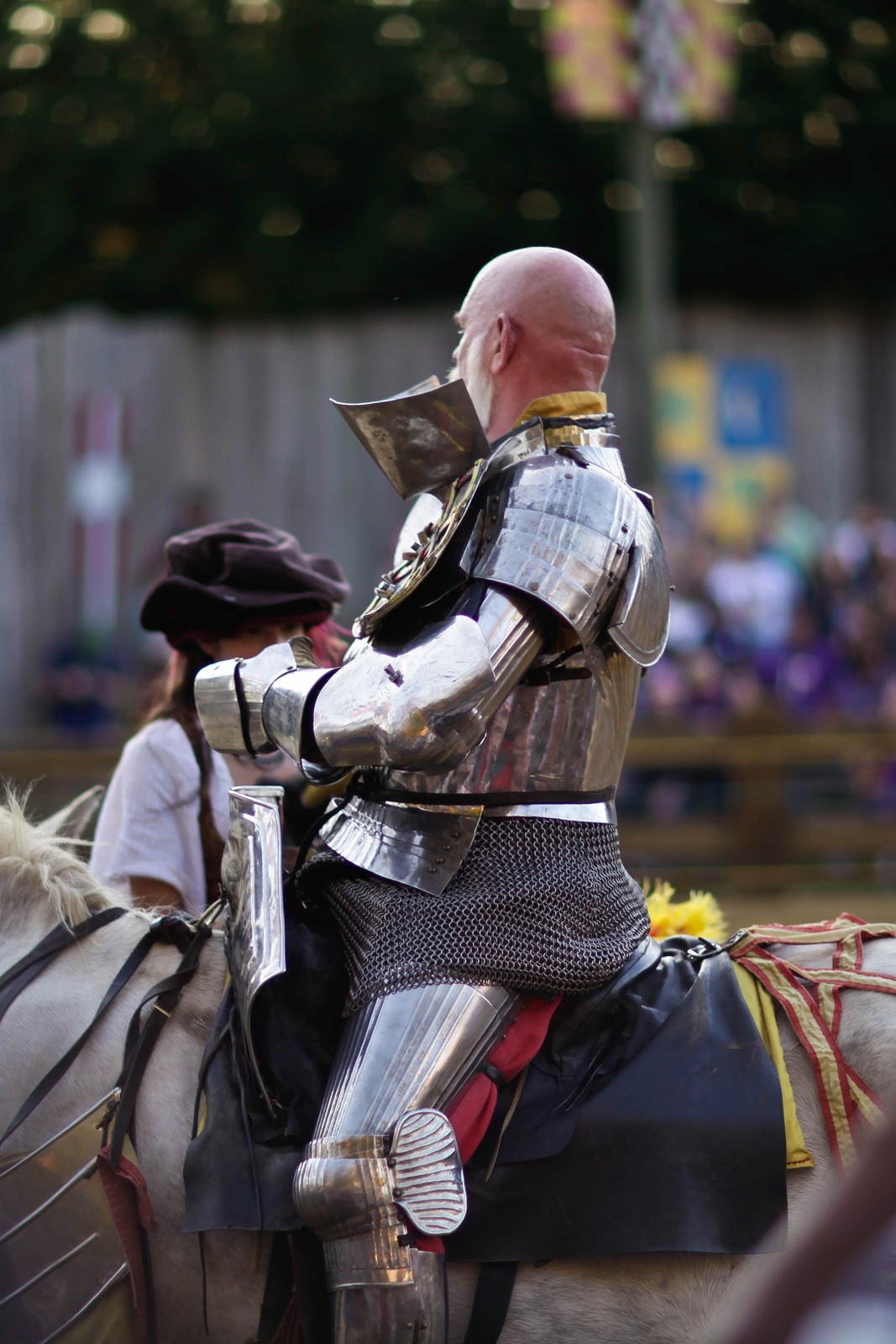The Armored Knight
