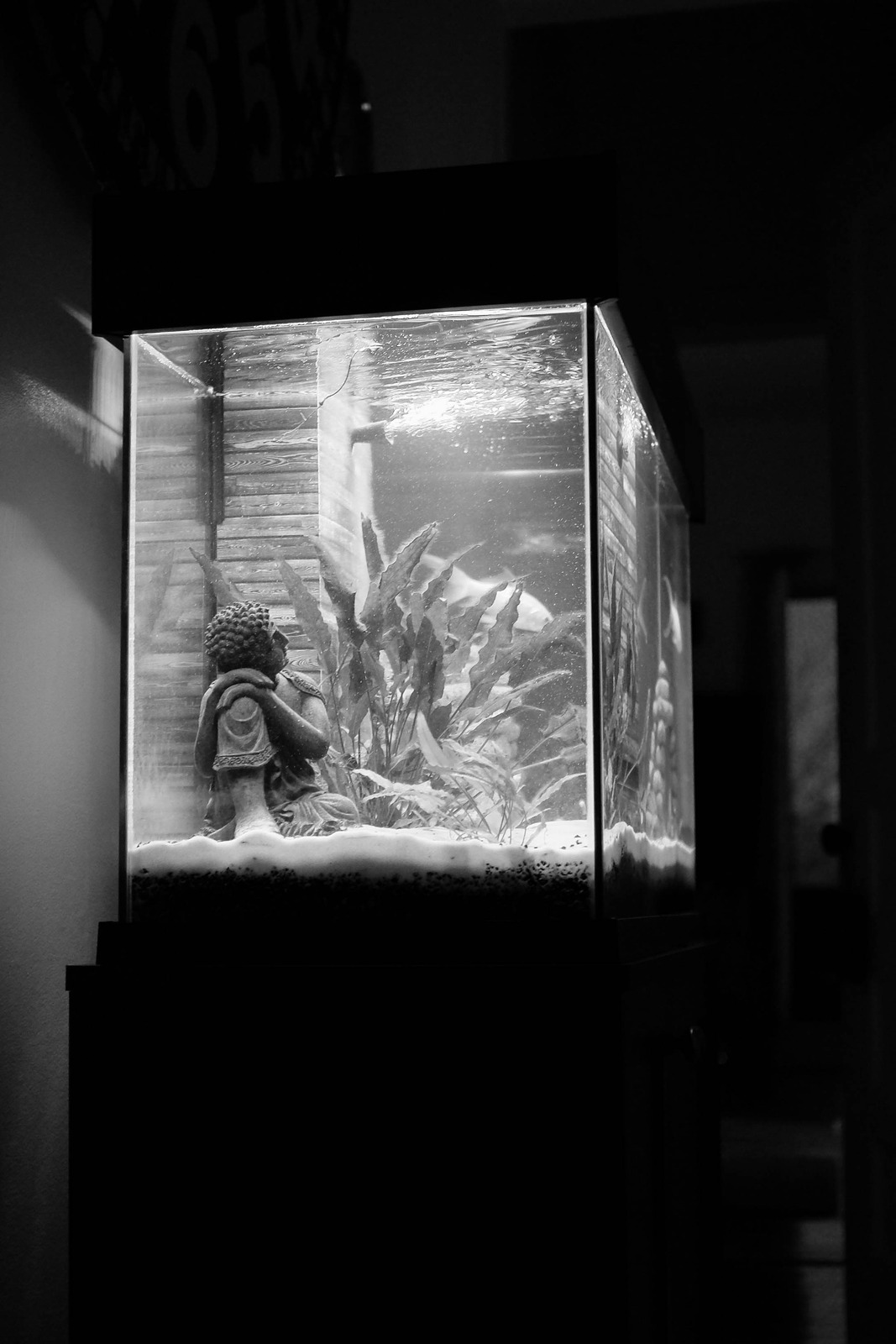 Silent Reflections