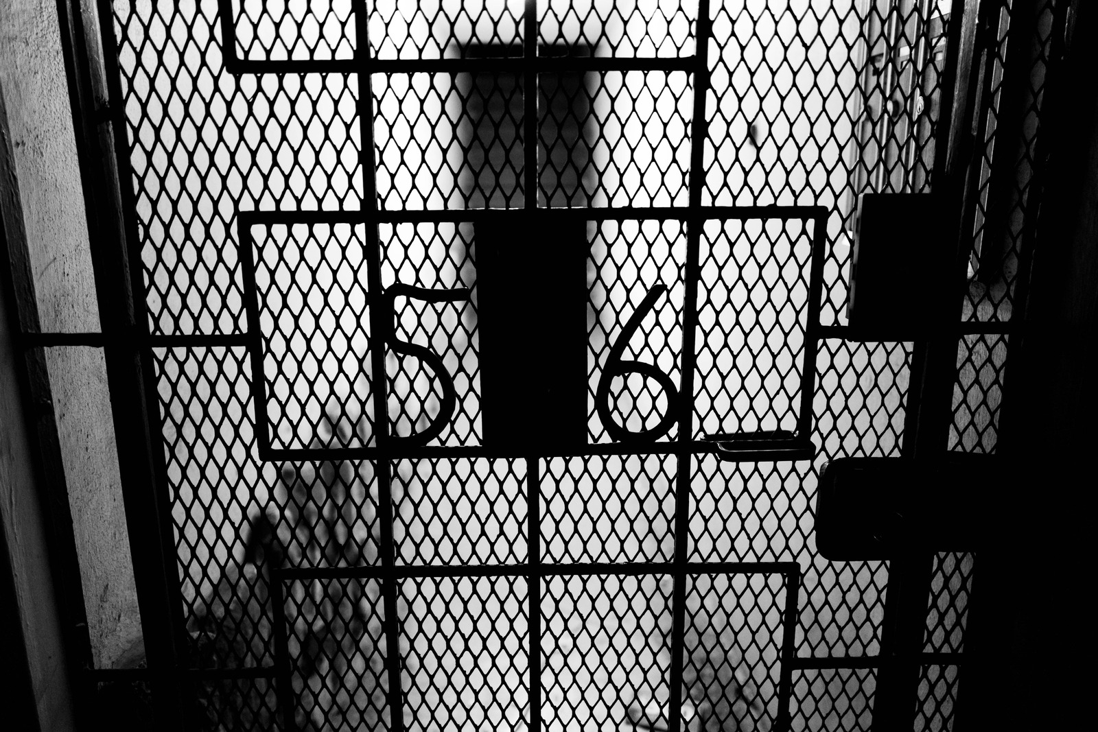Numbered Shadows