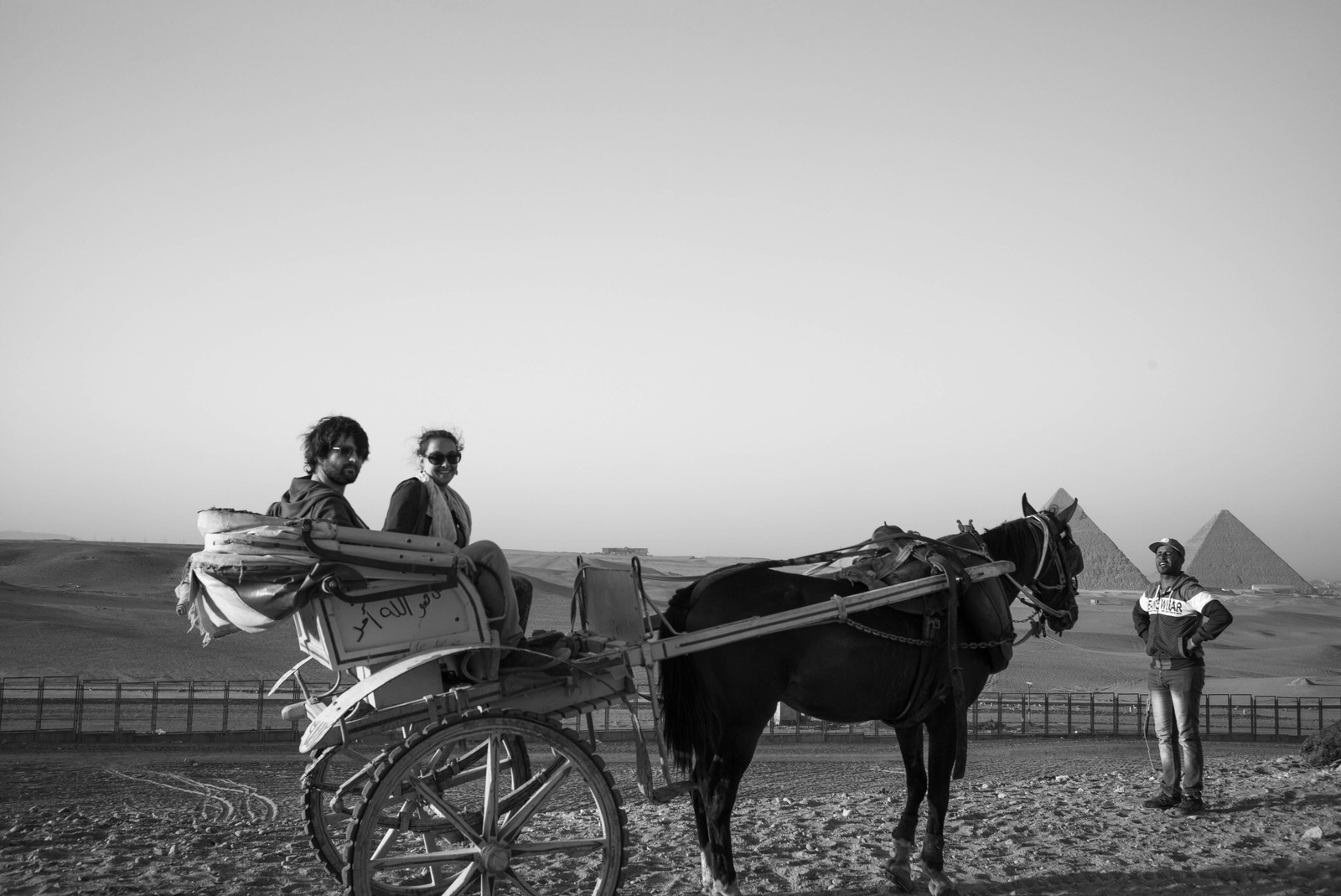 Desert Companions