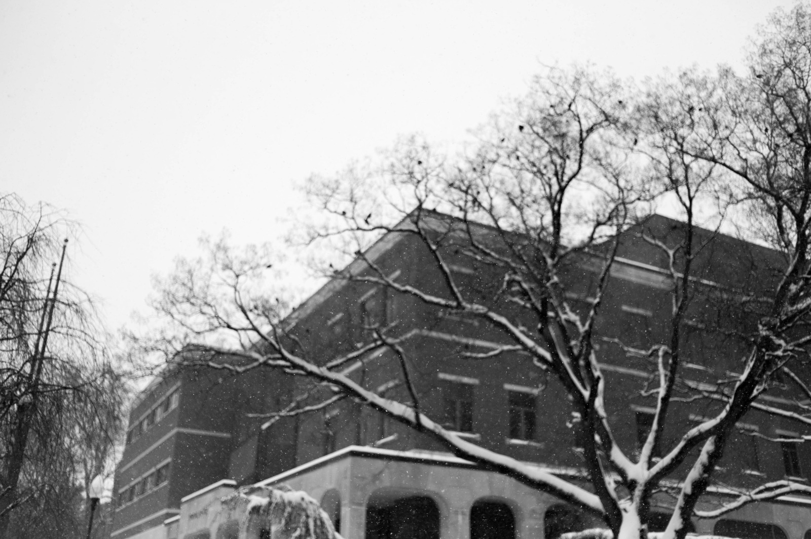 Whispers of Winter