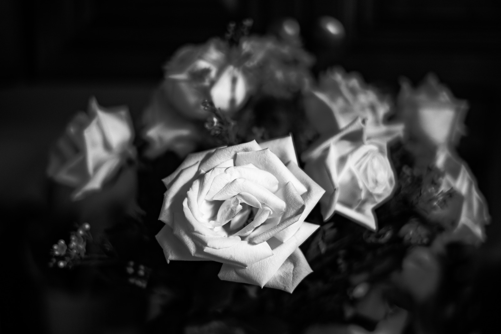Monochrome Elegance