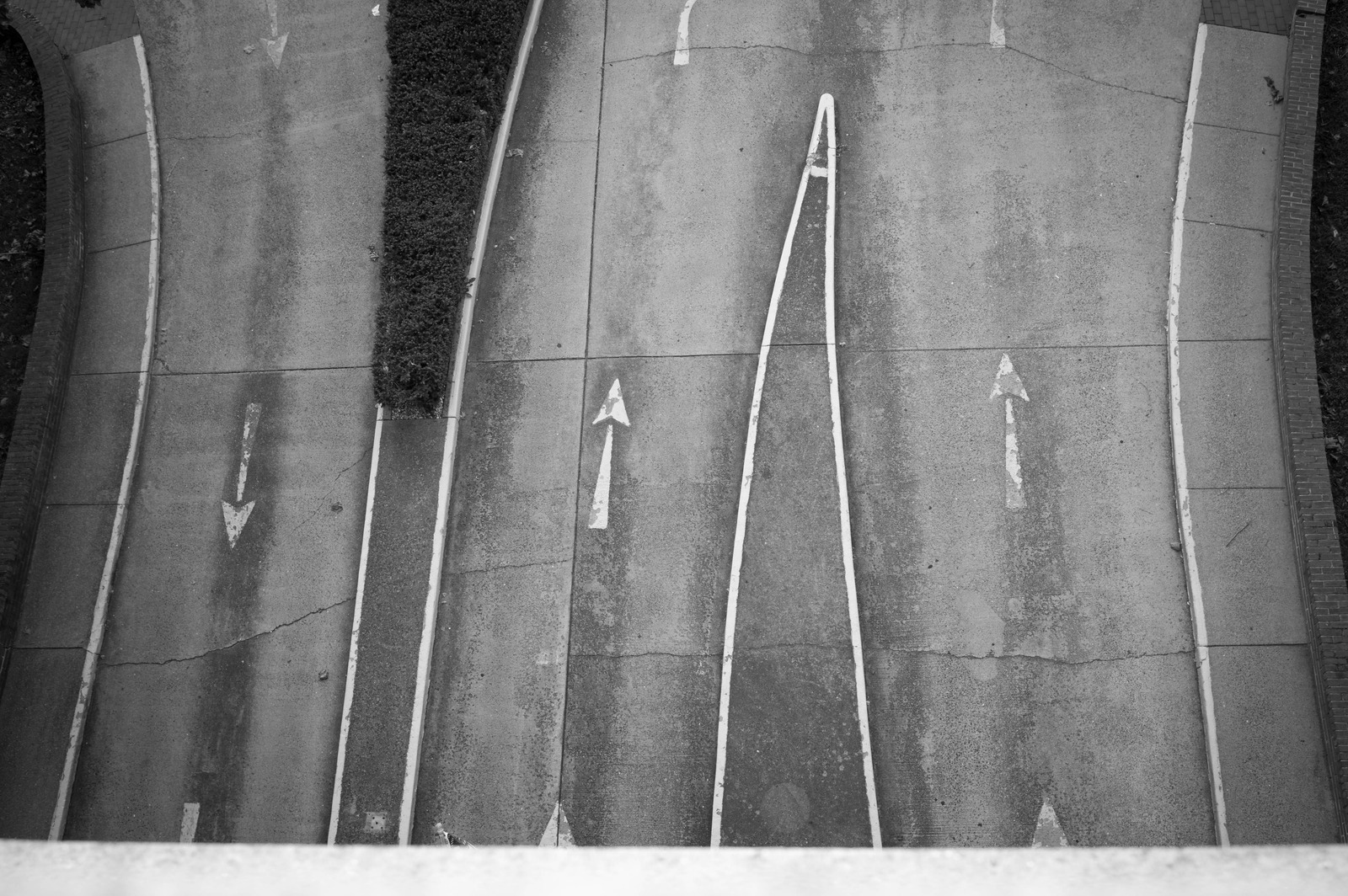 Curves of Direction