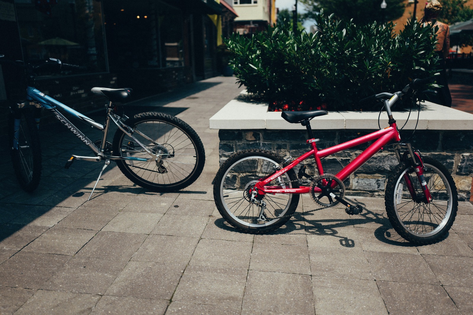 Bicycles in Harmony