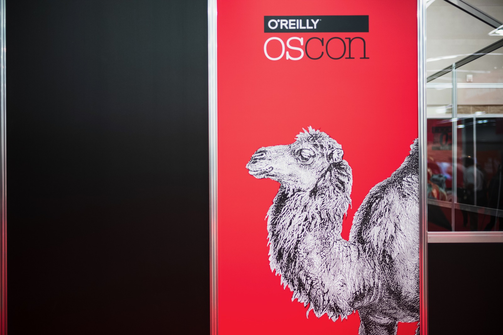 Camel on Bold Red