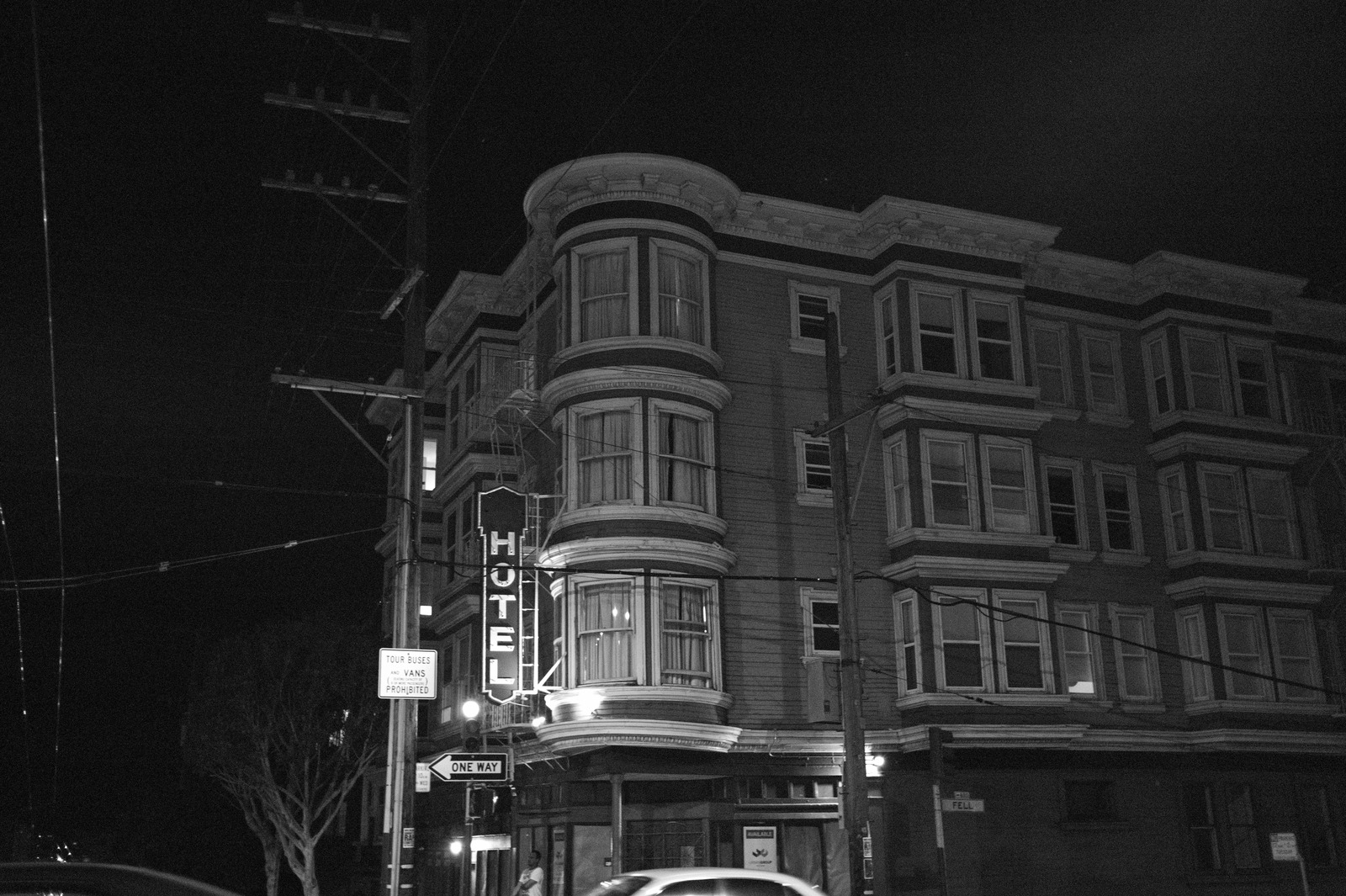Nocturnal Elegance