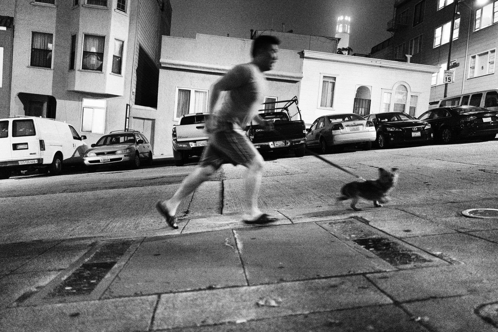 Midnight Dog Walk