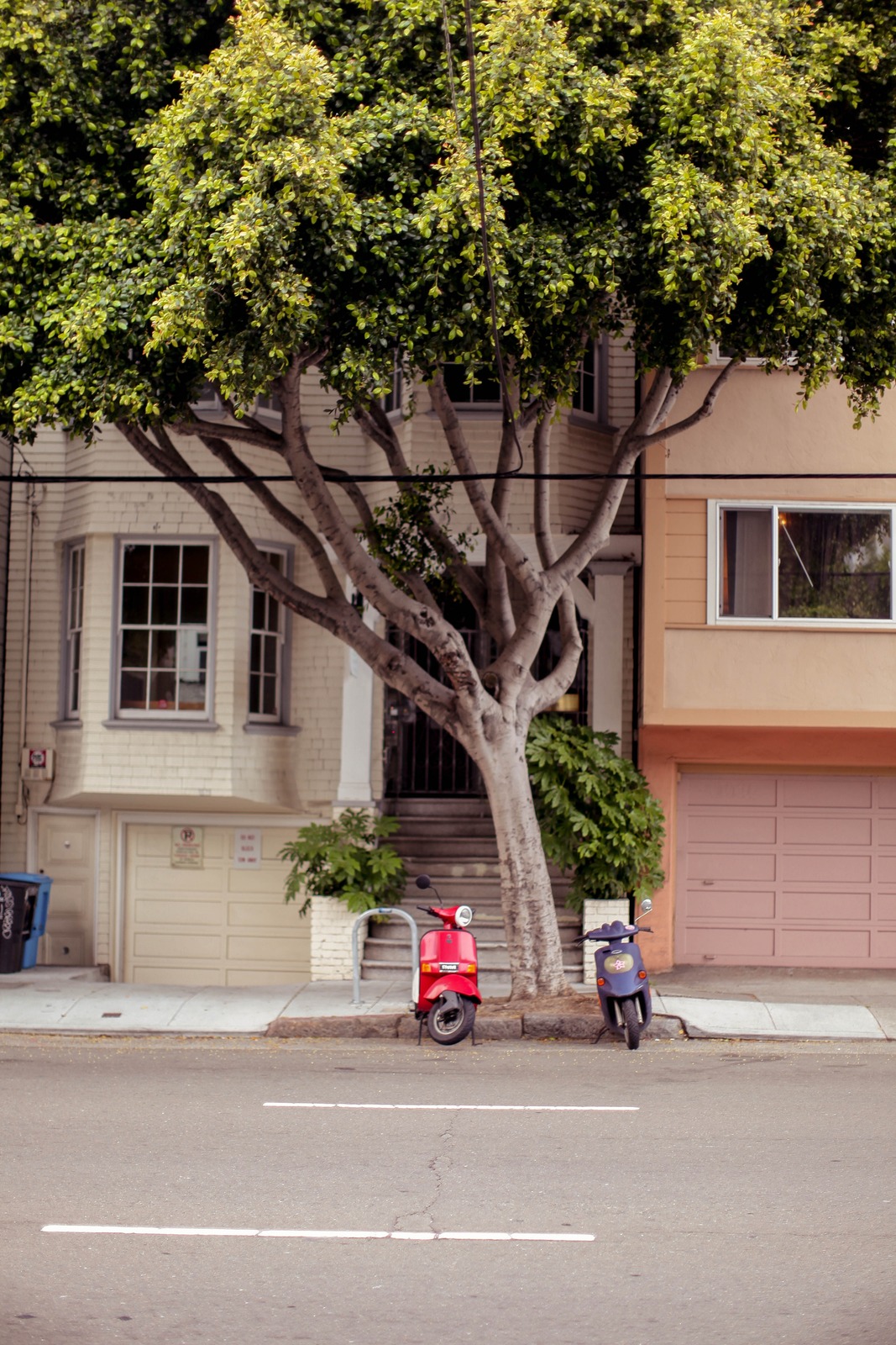 Urban Serenity
