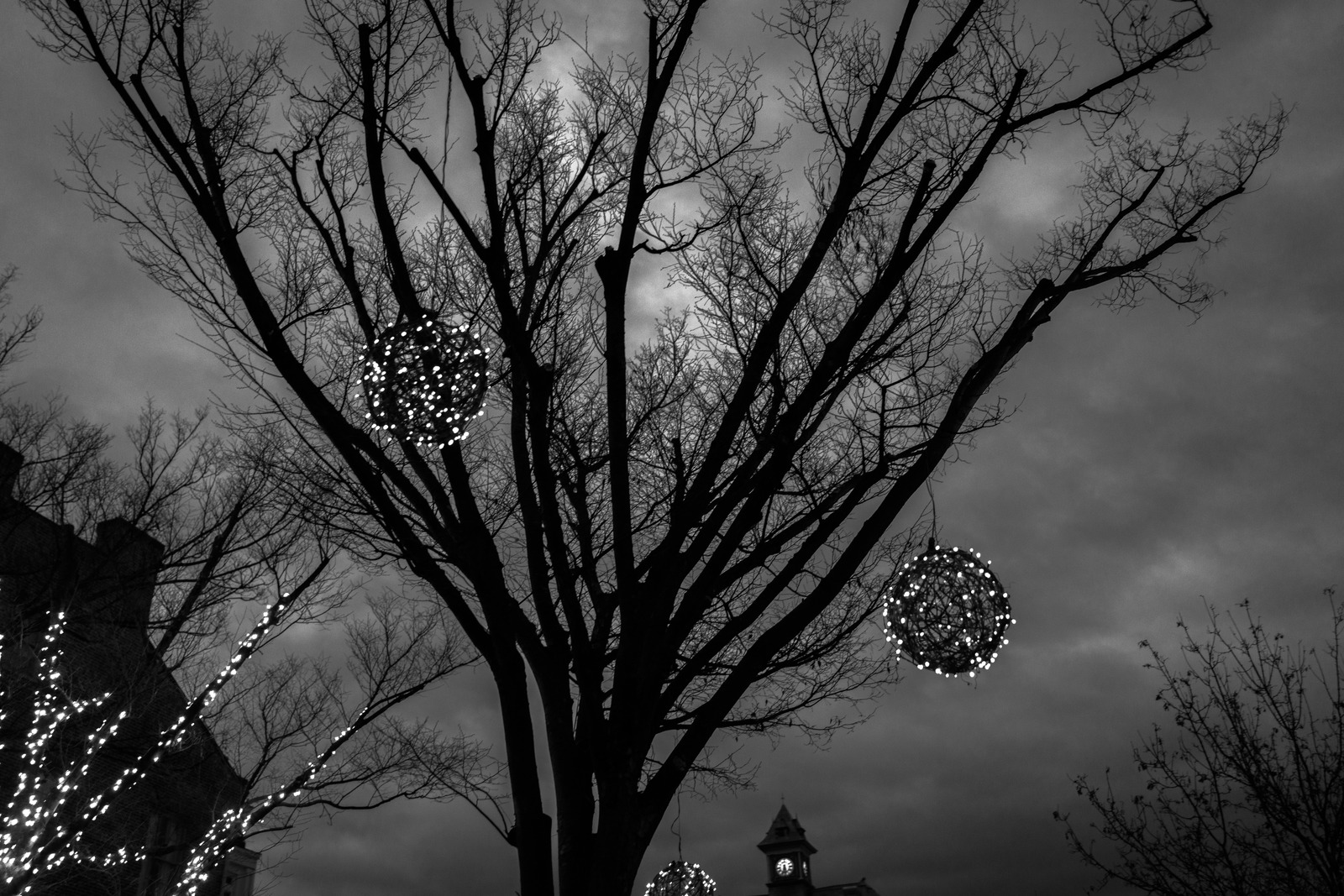 Whispers of Winter