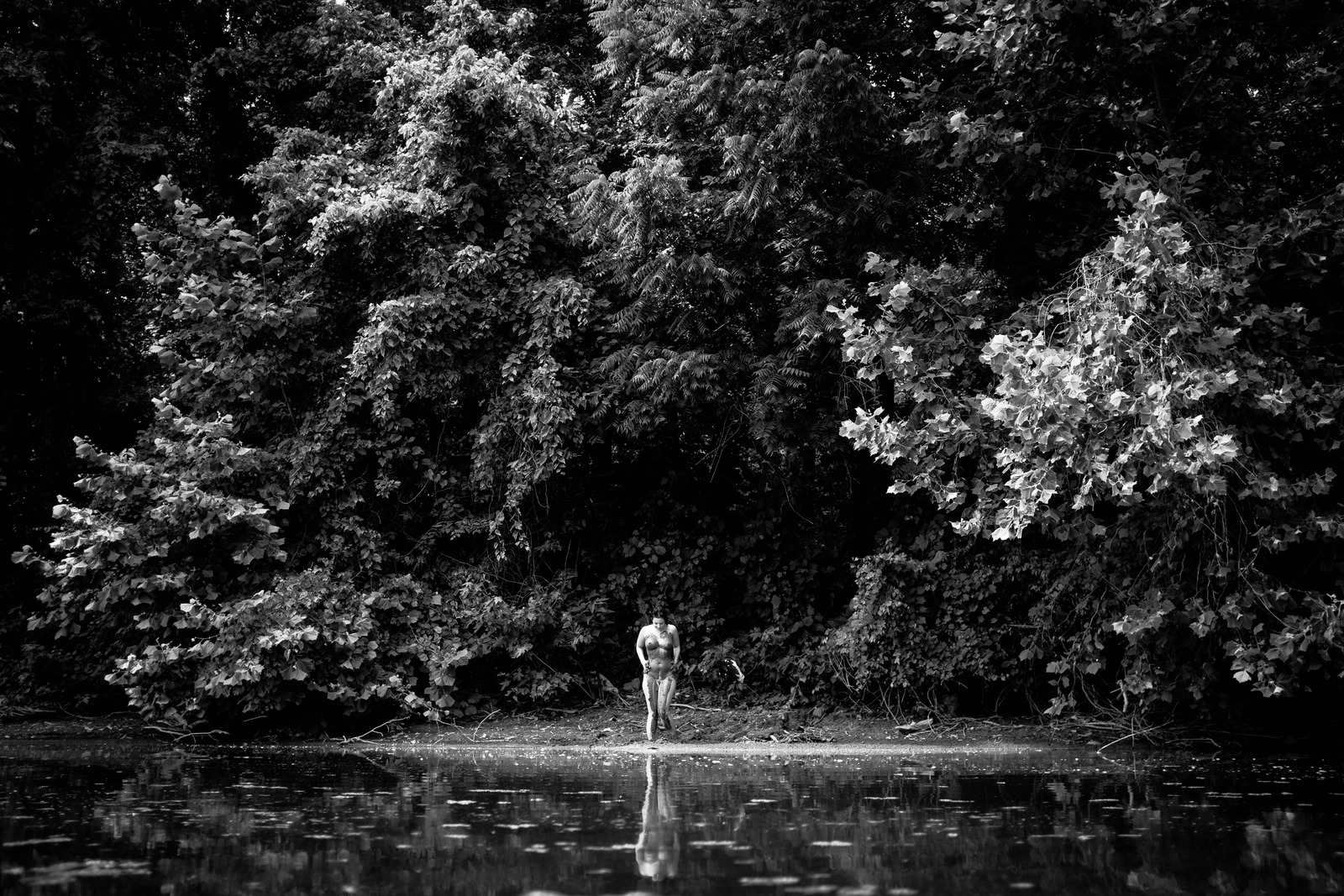 Solitary Reflection