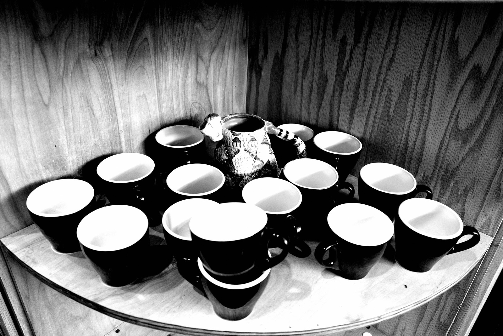 Monochrome Harmony