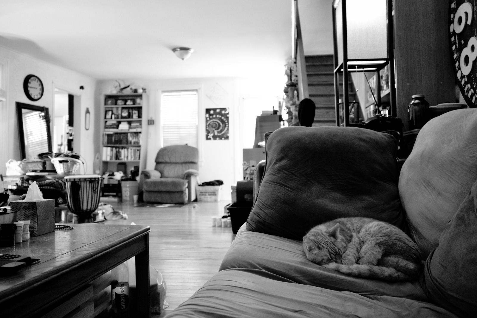 Cozy Abandonment