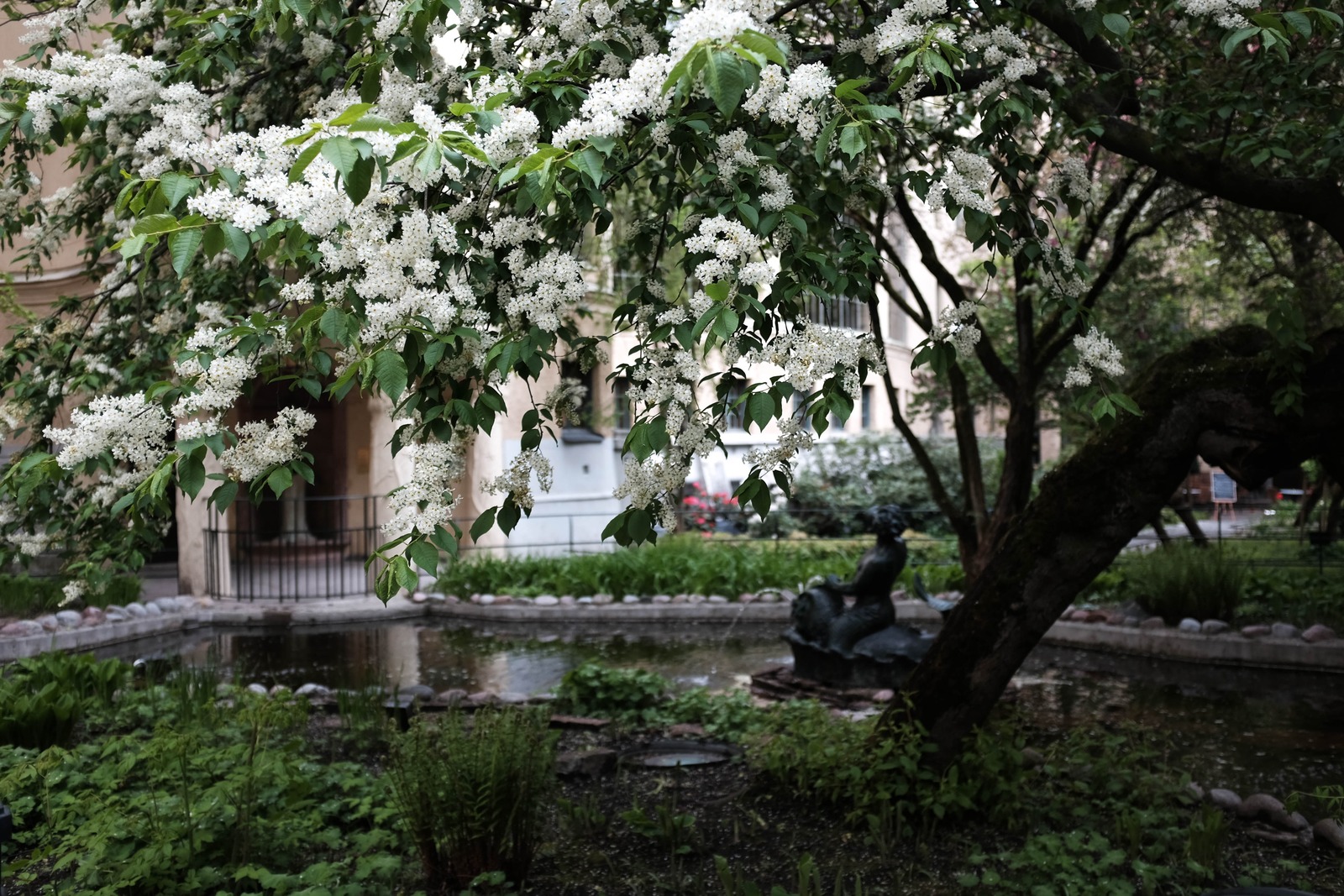 Whispers of Spring