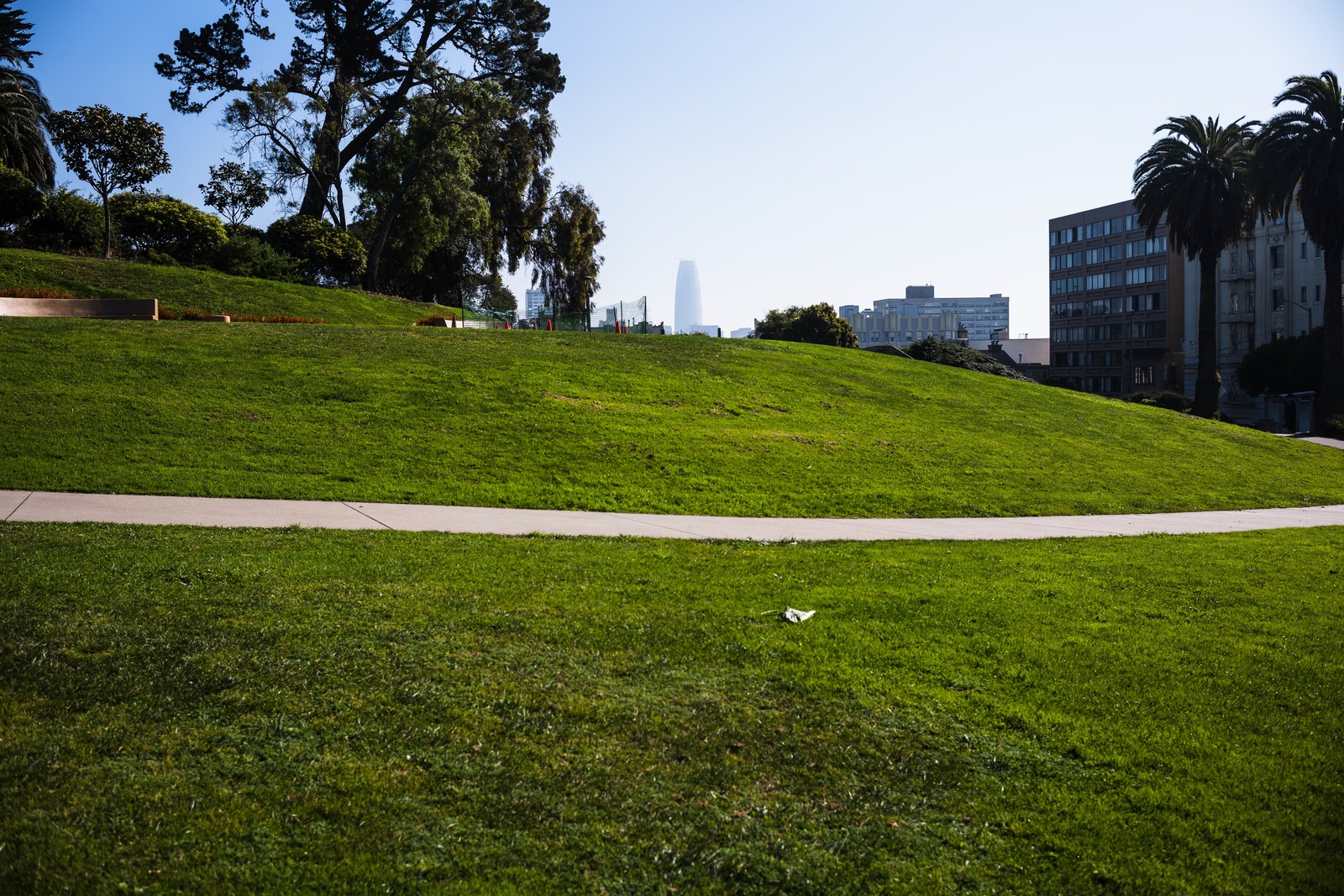Urban Serenity