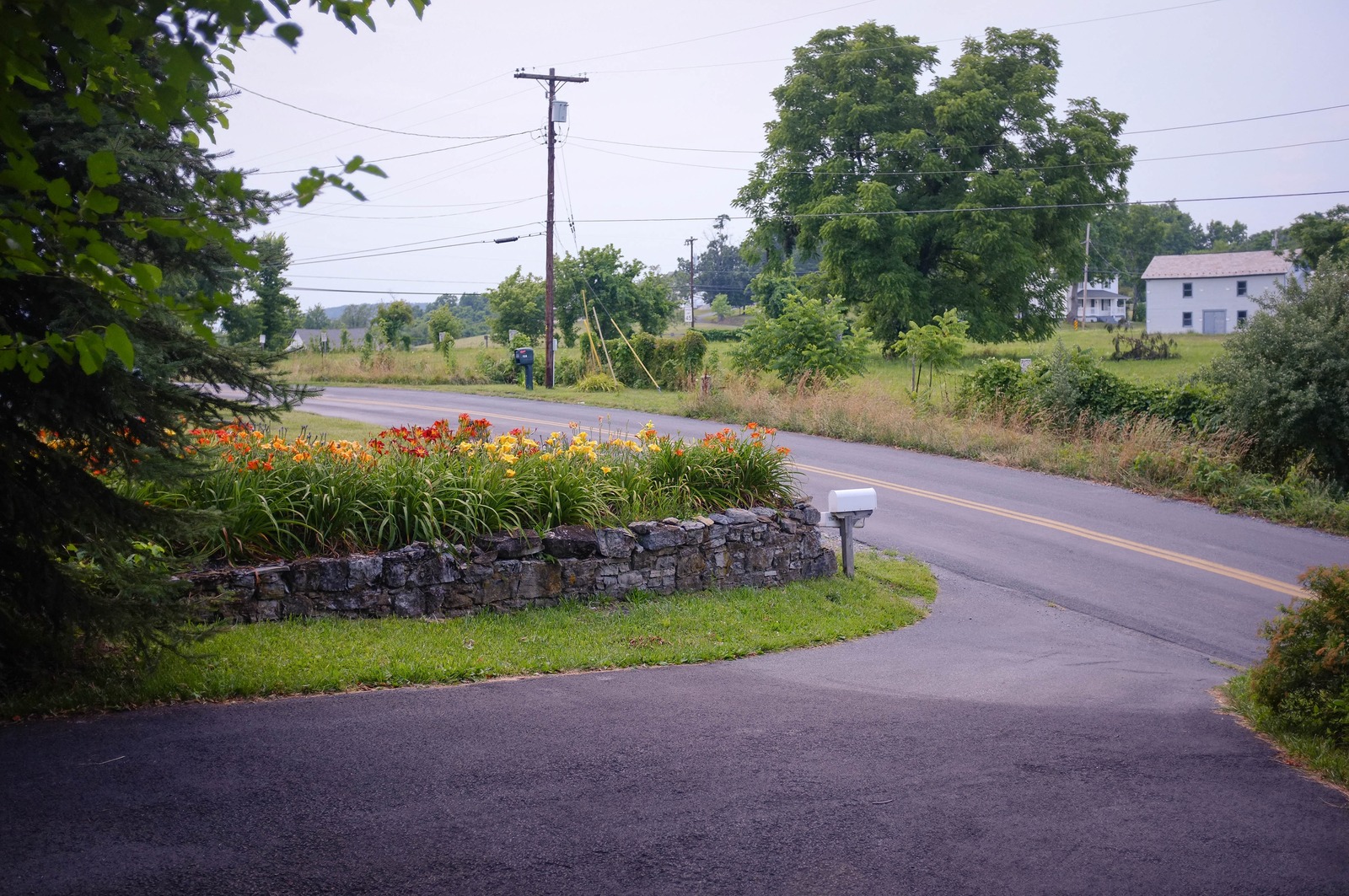 Quiet Country Road