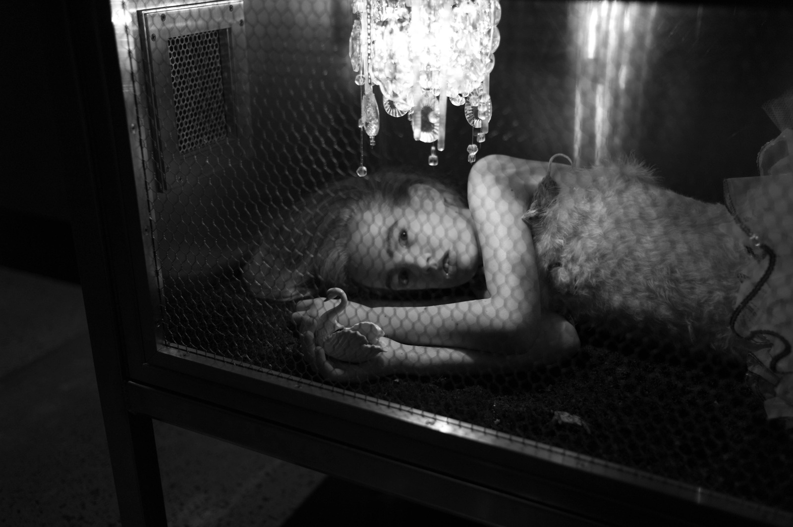 Enclosed Dreams