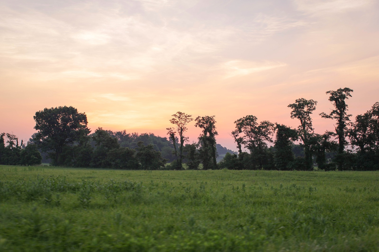 Serenity at Dusk