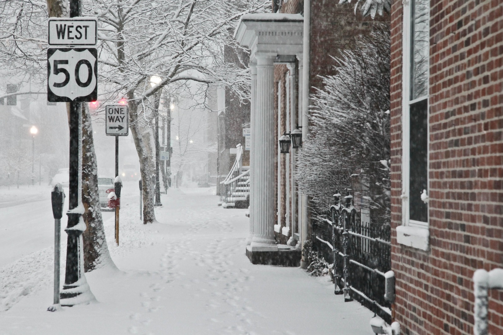 Silent Winter Walk
