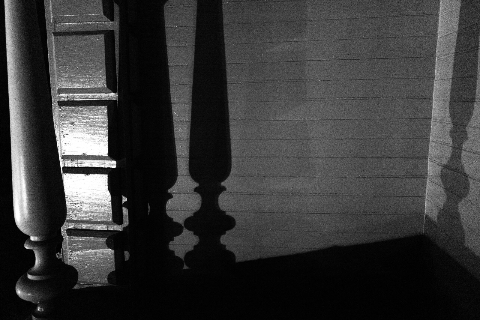 Shadows of Silence