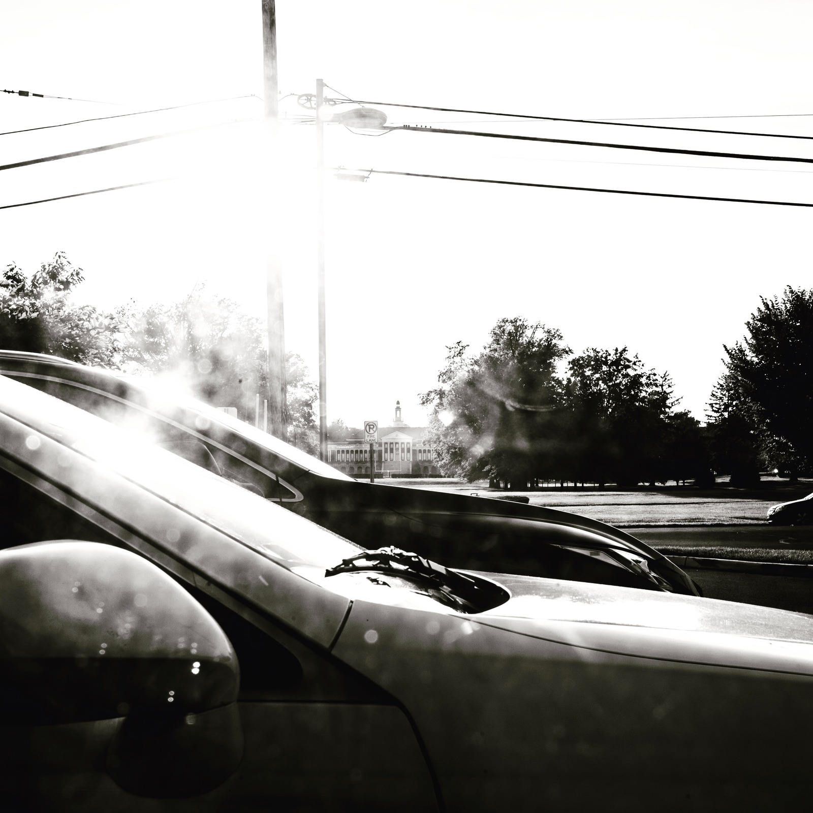 Morning Gleam
