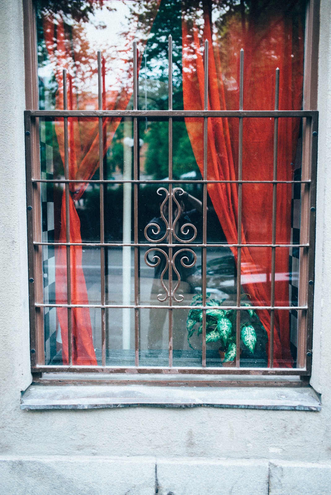 Veiled Serenity