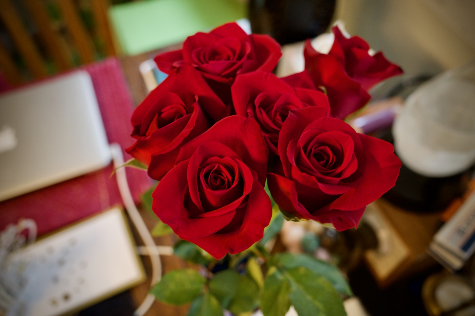 Velvet Blossoms