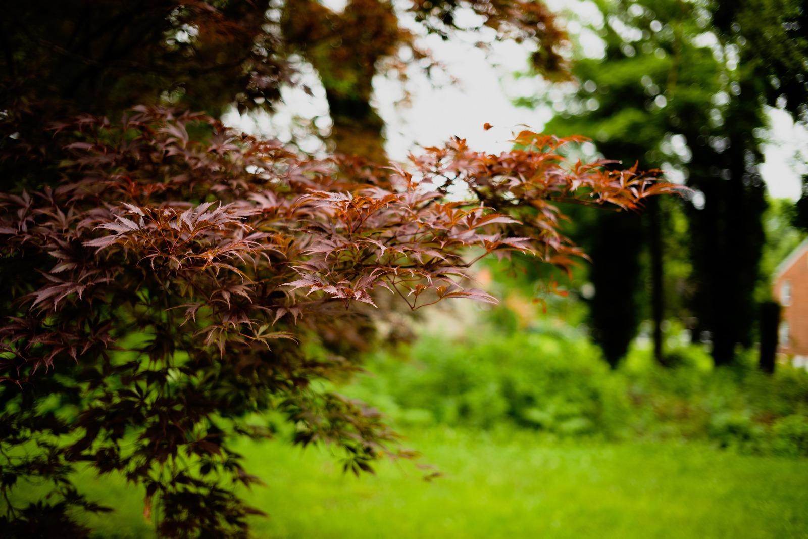 Whispers of Autumn