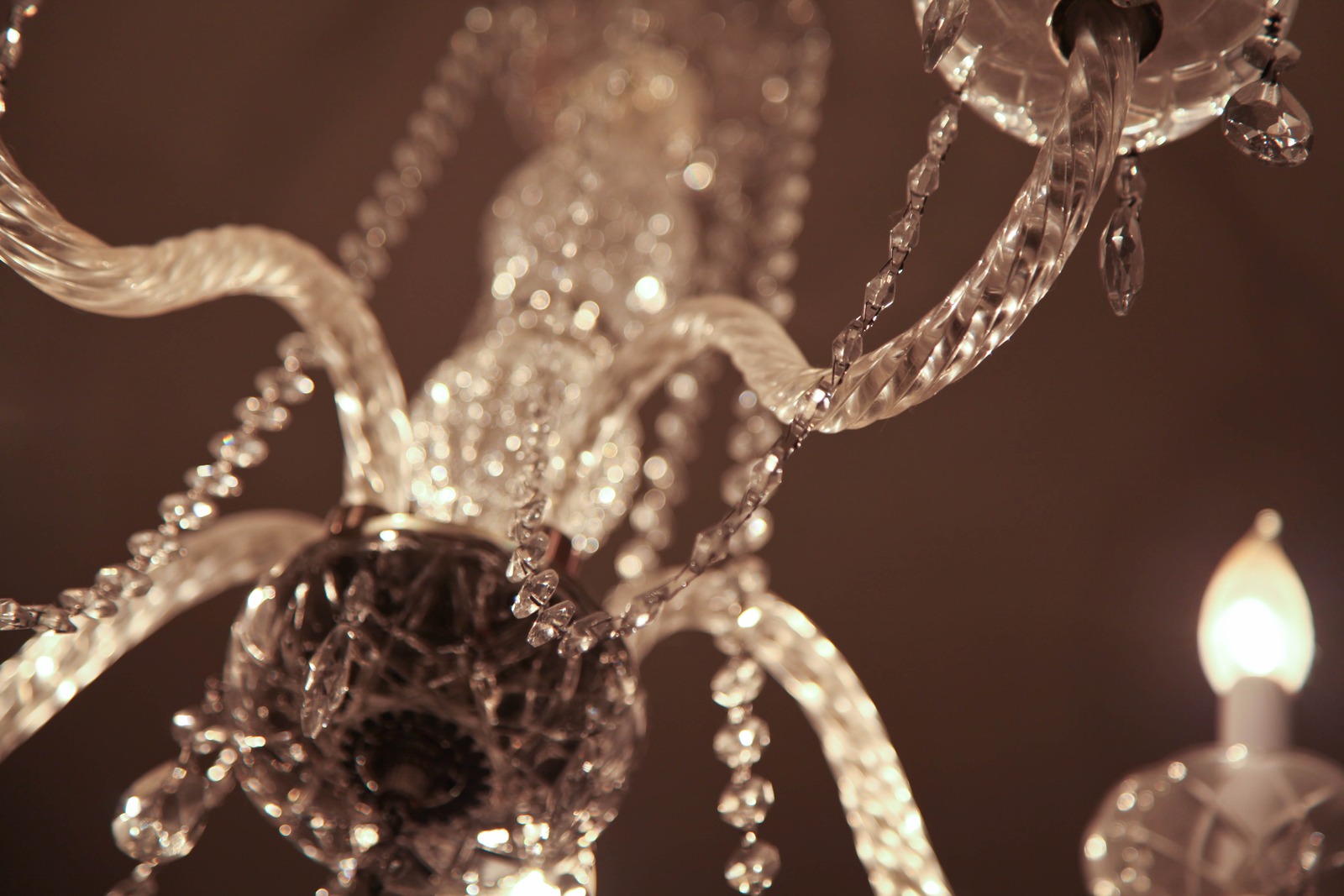 Glistening Elegance