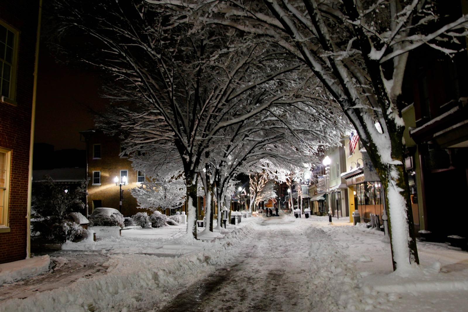 Silent Winter Night