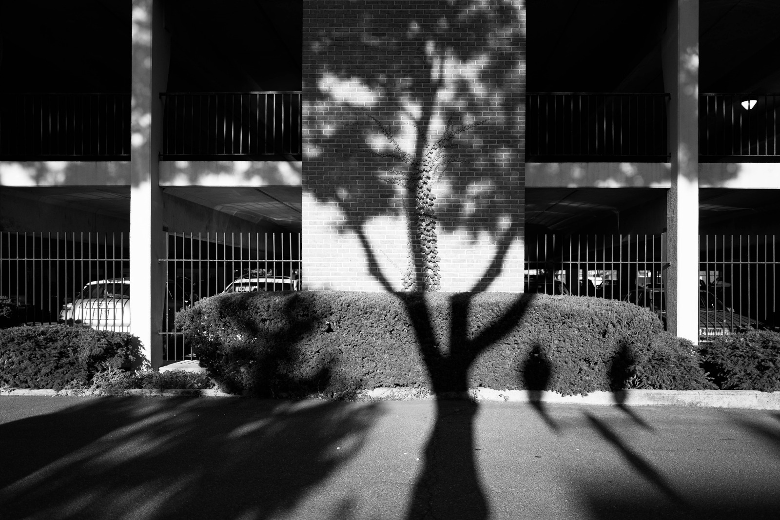 Shadows of Serenity