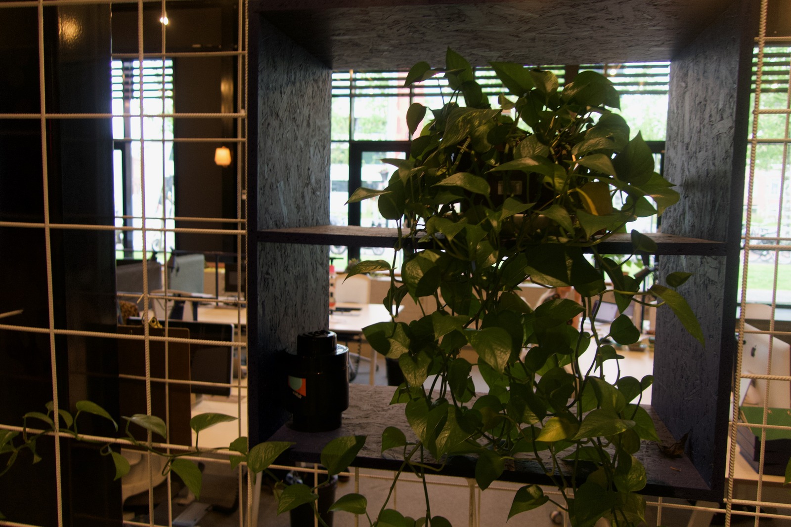 Urban Greenery
