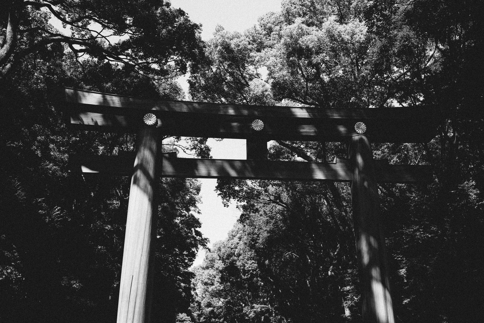 Silent Threshold