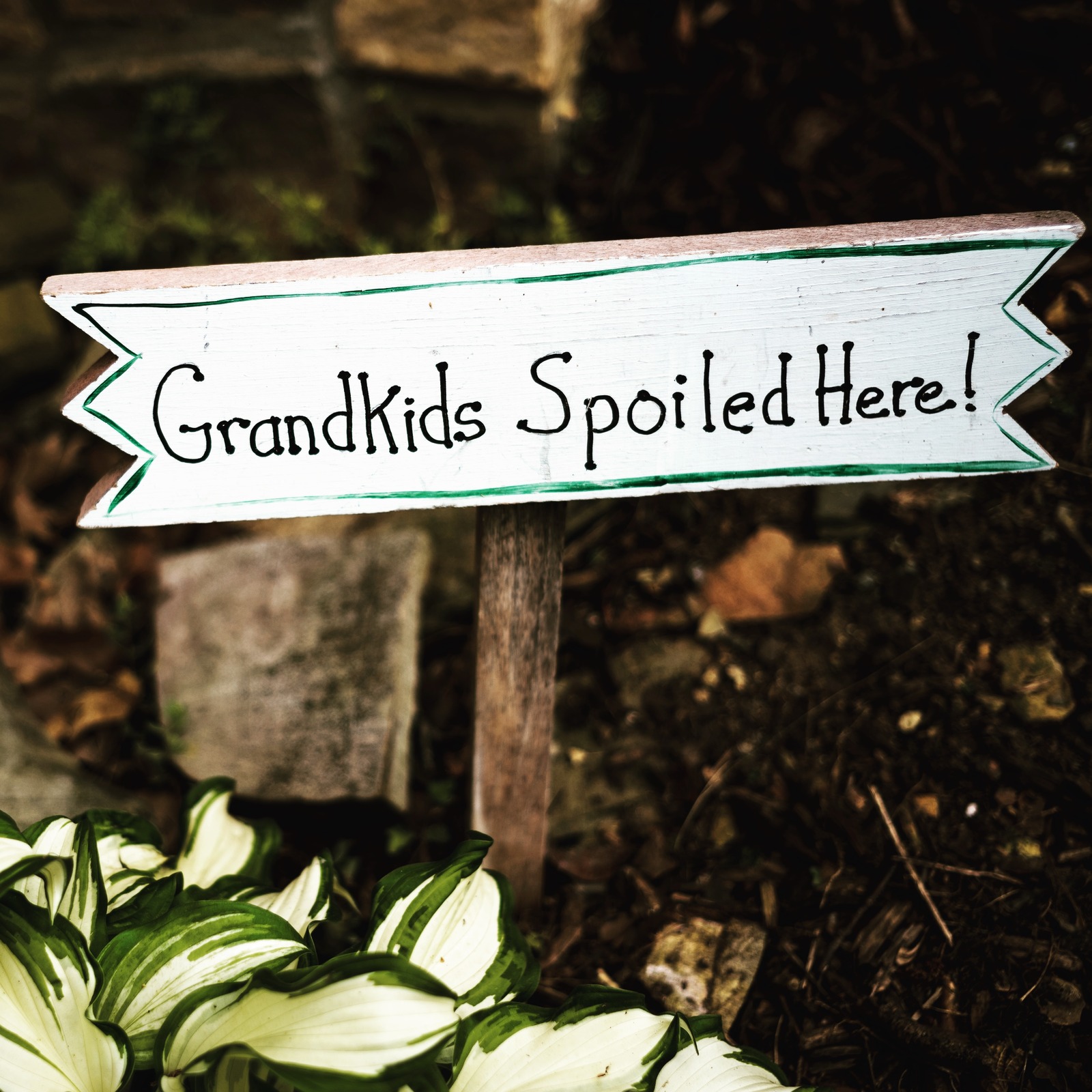 Whimsical Welcome
